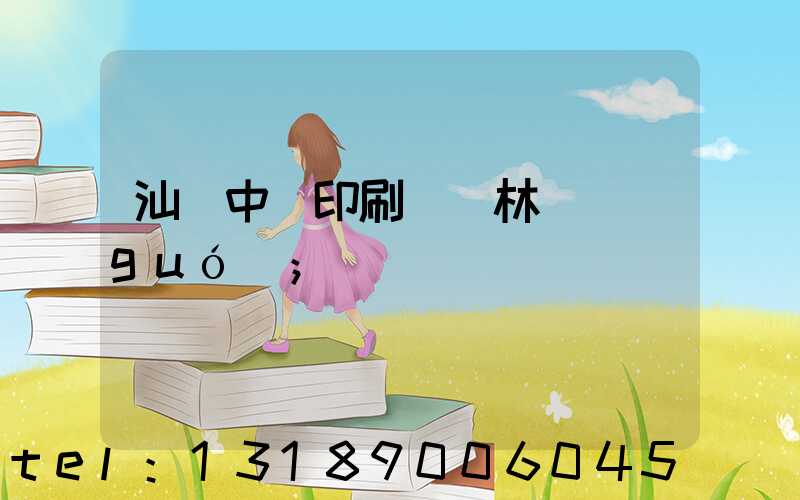 汕頭中興印刷廠 林偉國(guó)